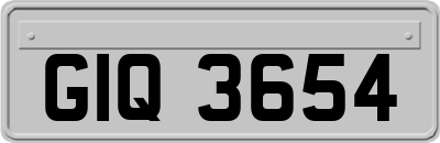 GIQ3654