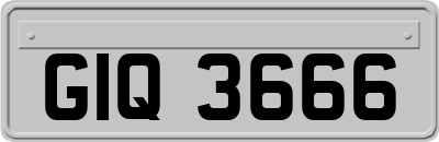 GIQ3666