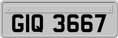 GIQ3667