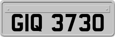 GIQ3730