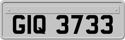 GIQ3733