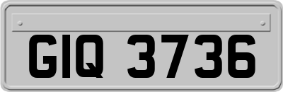 GIQ3736