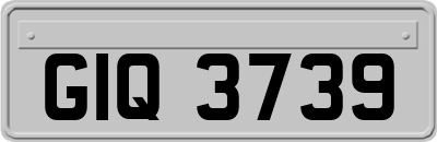 GIQ3739
