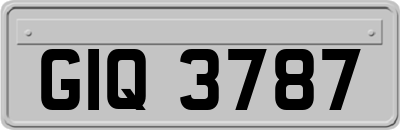 GIQ3787