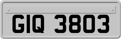 GIQ3803