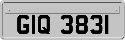 GIQ3831
