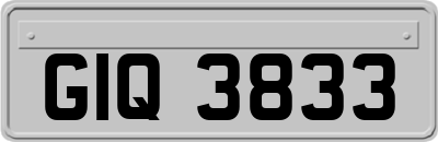 GIQ3833