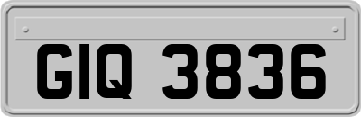 GIQ3836