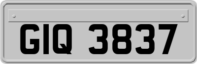GIQ3837