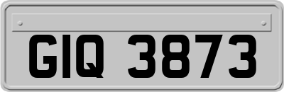 GIQ3873