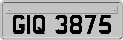 GIQ3875