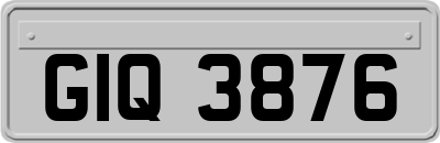 GIQ3876