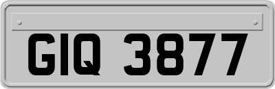 GIQ3877