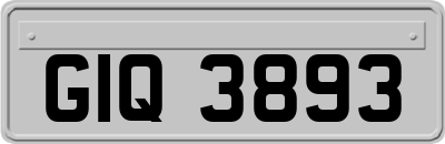 GIQ3893