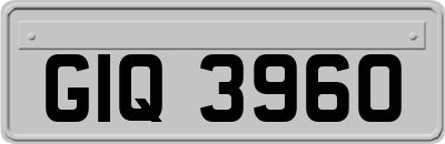 GIQ3960