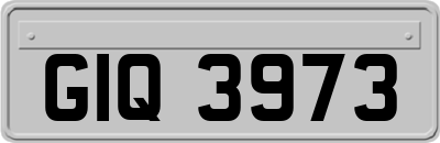 GIQ3973