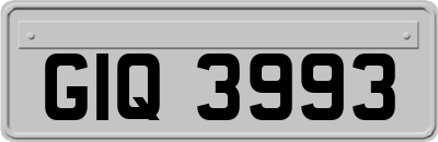 GIQ3993
