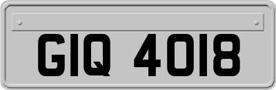 GIQ4018