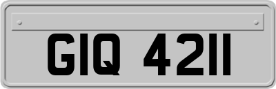 GIQ4211