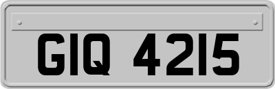 GIQ4215
