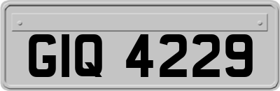 GIQ4229