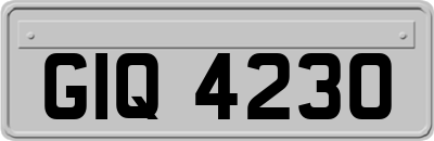 GIQ4230