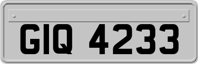 GIQ4233