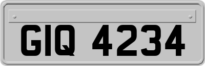 GIQ4234