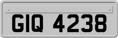 GIQ4238