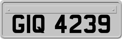 GIQ4239