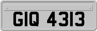 GIQ4313
