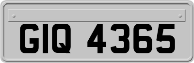 GIQ4365