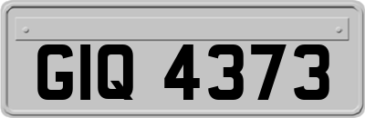 GIQ4373