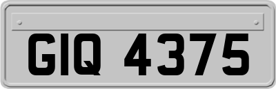 GIQ4375