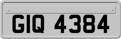 GIQ4384