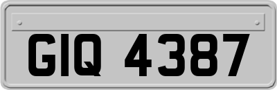 GIQ4387