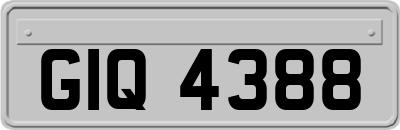 GIQ4388