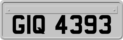 GIQ4393