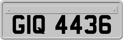 GIQ4436