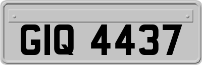 GIQ4437