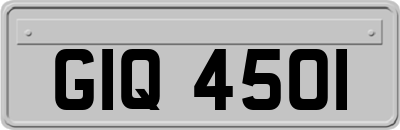GIQ4501
