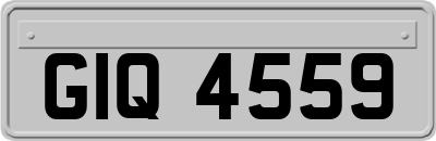 GIQ4559
