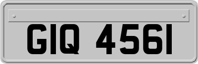 GIQ4561