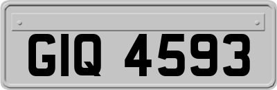 GIQ4593
