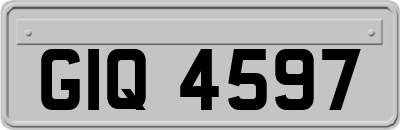 GIQ4597