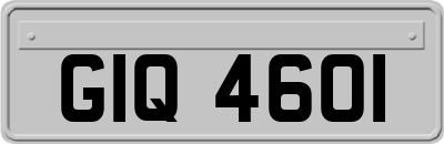 GIQ4601