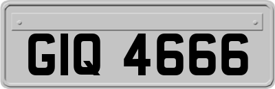 GIQ4666
