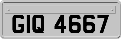 GIQ4667