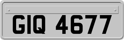 GIQ4677