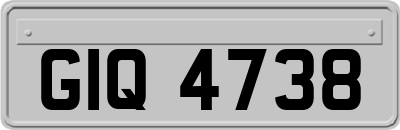 GIQ4738